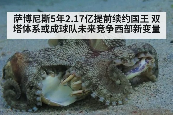 萨博尼斯5年2.17亿提前续约国王 双塔体系或成球队未来竞争西部新变量